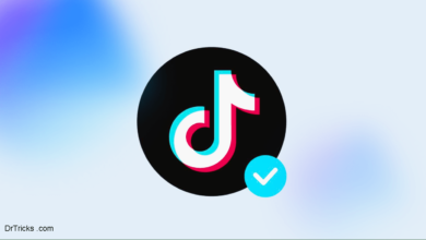 How Do You Get A Blue Tick On TikTok? How do you get a blue tick on TikTok?